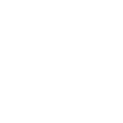 Phone Logo